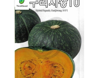 Kabocha Squash Seeds: Winter Pumpkin, Non-GMO Heirloom, 단호박