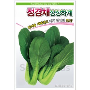 Bok Choy Seeds - Pak Choi Seeds, Premium Non-GMO, Heirloom, 복초이, 청경채 씨앗