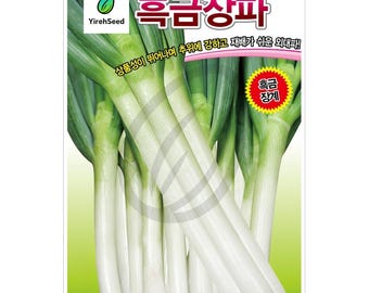 Korean Bunching Onion Seeds: Large Green Onion, Non-GMO, 흑금장파