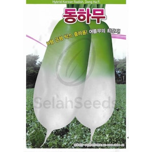 Radish Seeds - Premium Korean Radish Seeds, Non-GMO, Heirloom Seeds, 무, 동하무