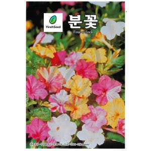 May include: A packet of Four-o'clock flower seeds. The image shows a vibrant mix of colorful blooms in shades of pink, yellow, and white. The packet has text in Korean and English, with the brand name "YirehSeed".