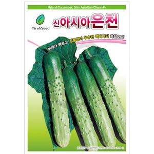 Korean Cucumber Seeds: Non-GMO, 은천 오이
