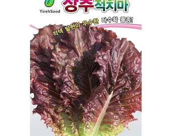 Korean Red Lettuce Seeds: Romaine Lettuce, Non-GMO, 적상추