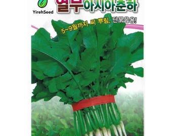 May include: A packet of Hybrid Leafy Radish seeds, labeled "Asia Chun Ha Fi." The image shows a bundle of fresh, green radish leaves and white roots, bound with a red band. Text in Korean is also visible.