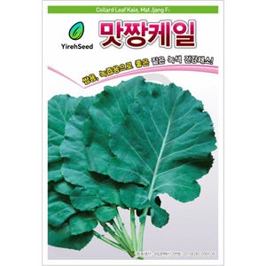 May include: A seed packet featuring a close-up of vibrant green collard leaf kale. The packet includes text in Korean and English, with the brand name "YirehSeed" and the phrase "Collard Leaf Kale, Mat Jjang Fi."