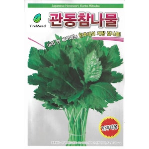 May include: A packet of Japanese Honewort, Kanto Mitsuba seeds. The packet is white with green and red text and graphics. The image shows a bundle of fresh, green leafy vegetables tied with a green string. The text includes "YirehSeed".