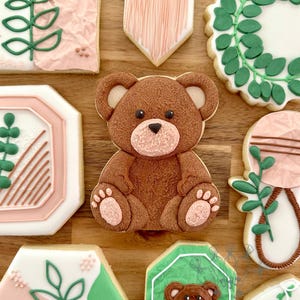Può includere: Un assortimento di biscotti decorati su una superficie di legno. I biscotti presentano disegni come un orsetto, motivi floreali e una forma in stile macramè. I colori includono marrone, rosa, verde e bianco, con dettagli intricati.