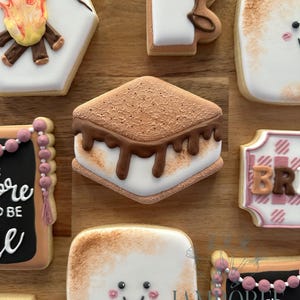 May include: Assortment of decorated sugar cookies with a camping theme. Cookies include a s'more, a campfire, and a marshmallow with a smiling face. The cookies are decorated with white, brown, and pink icing.