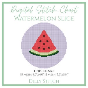 NEW - Watermelon Slice - Digital Stitch Chart for Needlepoint