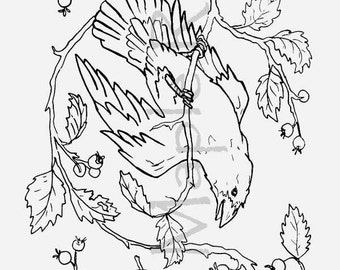 Edgar, Allan & Crow: Berry Thieves. Rug Hooking o Punch Needle Rug Pattern en MONKS CLOTH