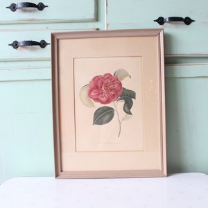 Vintage Camellia Floral Print: Mid-Century Wall Art (13x17)