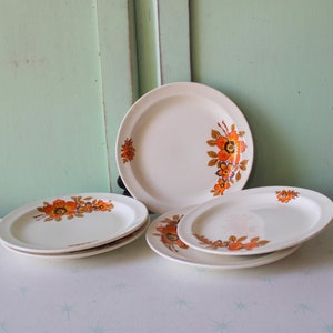 Vintage Ceramic Flower Garden Plates - Set of 5 - 1970s Kitchen