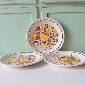Vintage Floral Garden Plates Set: Retro 1970s Kitchen Decor
