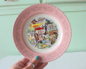 Vintage TENNESSEE Pink Collectible Plate...retro housewares. state. kitschy. serve. novelty. gift. serving. country music. wall art. novelty
