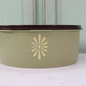 May include: A vintage green and brown plastic cookie jar with a stylized flower design.
