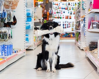 pet supplies