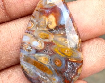 Natural Multicolors Palm Root Agate Gemstone. Palm Root Agate Fossilised. Toppest~ Palm Root Agate Cabochon. Pear Shape Palm For Jewelry.