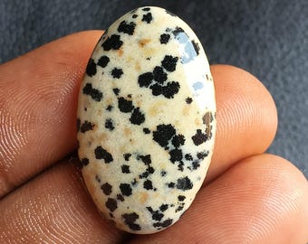 30 Jh. Dalmatiner Jaspis Cabochon Natürlicher Edelstein Loser Stein für die Schmuckherstellung Schwarz Weiß Spot Stein Heilung Kristall Merlinit Cabochon