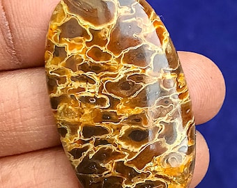Petrified Palm Root Cabochon Natural Stone Pendant Gemstone Palm Root Agate Fossilised Toppest Palm Root Agate Cabochon Palm For Jewelry.