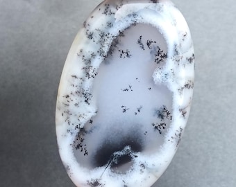 May include: An oval-shaped gemstone with a white base and intricate black dendritic patterns. The stone has a polished surface and is held between fingers, showcasing its natural beauty. The patterns resemble delicate tree-like formations.