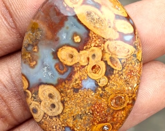 Natural Multicolors Palm Root Agate Gemstone. Palm Root Agate Fossilised. Toppest~ Palm Root Agate Cabochon. Oval Shape Palm For Jewelry.