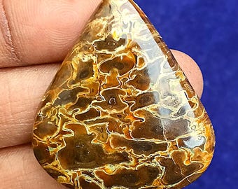 Natural Multicolors Palm Root Agate Gemstone Palm Root Agate Fossilised. Toppest~ Palm Root Agate Cabochon Pear Shape Palm For Jewelry.