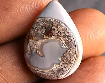 14 cts. Echtes Druzy Fossil Schnecken Birne, funkelndes natürliches Kristallmuster, dekoratives Fossil Schnecke mit Cabochon - Schöne Kristall-Cabs.