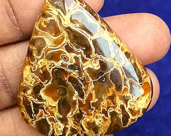 Natural Multicolors Palm Root Agate Gemstone Palm Root Agate Fossilised. Toppest~ Palm Root Agate Cabochon Pear Shape Palm For Jewelry.