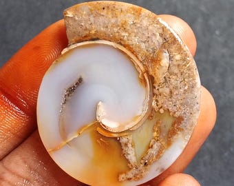 43 ct. Genuine Druzy Fossil Snail Slice, Sparkling Natural Crystal Specimen, Decorative Fossil Snail with Druzy – Beautiful Crystal Slice.