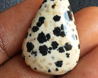 33 Jh. Dalmatiner Jaspis Stein Cabochon Natürlicher Loser Edelstein für die Schmuckherstellung Schwarz Weiß Spot Kristall Großverkauf Lot (33x20x7mm Birne