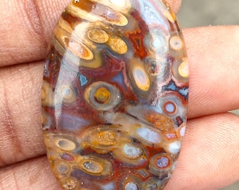Natural Multicolors Palm Root Agate Gemstone Palm Root Agate Fossilised. Toppest~ Palm Root Agate Cabochon Oval Shape Palm For Jewelry.