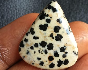 30 Jh. Dalmatiner Jaspis Stein Cabochon Natürlicher Loser Edelstein für die Schmuckherstellung Schwarz Weiß Spot Kristall Großverkauf Lot (29x25x5mm Birne