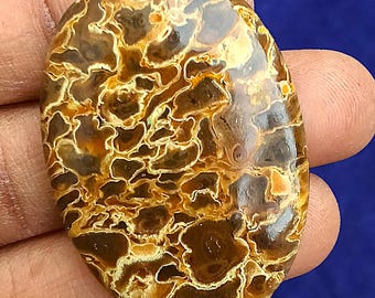 Petrified Palm Root Cabochon Natural Stone Pendant Gemstone Palm Root Agate Fossilised Toppest Palm Root Agate Cabochon Palm For Jewelry.
