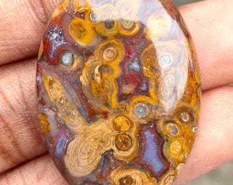 Natural Multicolors Palm Root Agate Gemstone Palm Root Agate Fossilised. Toppest~ Palm Root Agate Cabochon Oval Shape Palm For Jewelry.