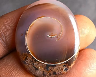 49 cts. Echtes Druzy Fossil Schnecken Birne, Funkelndes Natürliches Kristallmuster, dekorative Fossilien Schnecke mit Druzy – Schönen Kristall Cabochons.