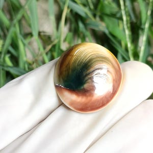Green Turbo Operculum, Cats Eye, Shiva Shell for Crafts, Shell Artists, Sailors Valentines, Dewelry, home decor, Wedding,