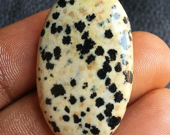 45 Cts. Dalmatiner Jaspis Cabochon Natürlicher Edelstein Loser Stein für die Schmuckherstellung Schwarz Weiß Spot Stein Heilung Kristall Merlinit Cabochon