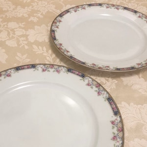 Rare Bavaria Tirschenreuth Franklin 4177 Pink Purple And Gold Floral Deisgns With Golden And Black Detail Connecting Around The Edge