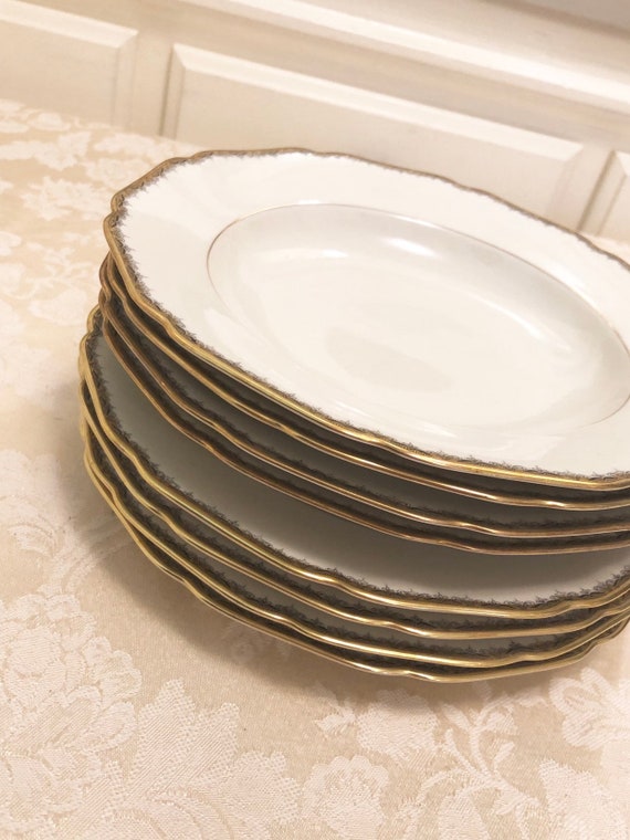 18 CM 14 Aelteste Hutschenreuther Hohenberg Germany Dinner Plates