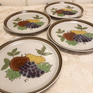 Mikasa Hallkraft Stoneware Fruit Salad J1012 Dinner Set Country Classics Country Manor Mikasa Dinner Sets Japan Dinner Plates