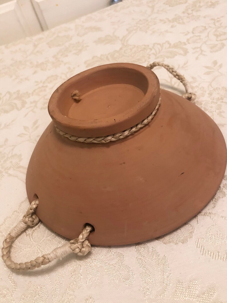 Elegant Terra Cotta Shallow Indoor Cactus Bowl Succulent ...