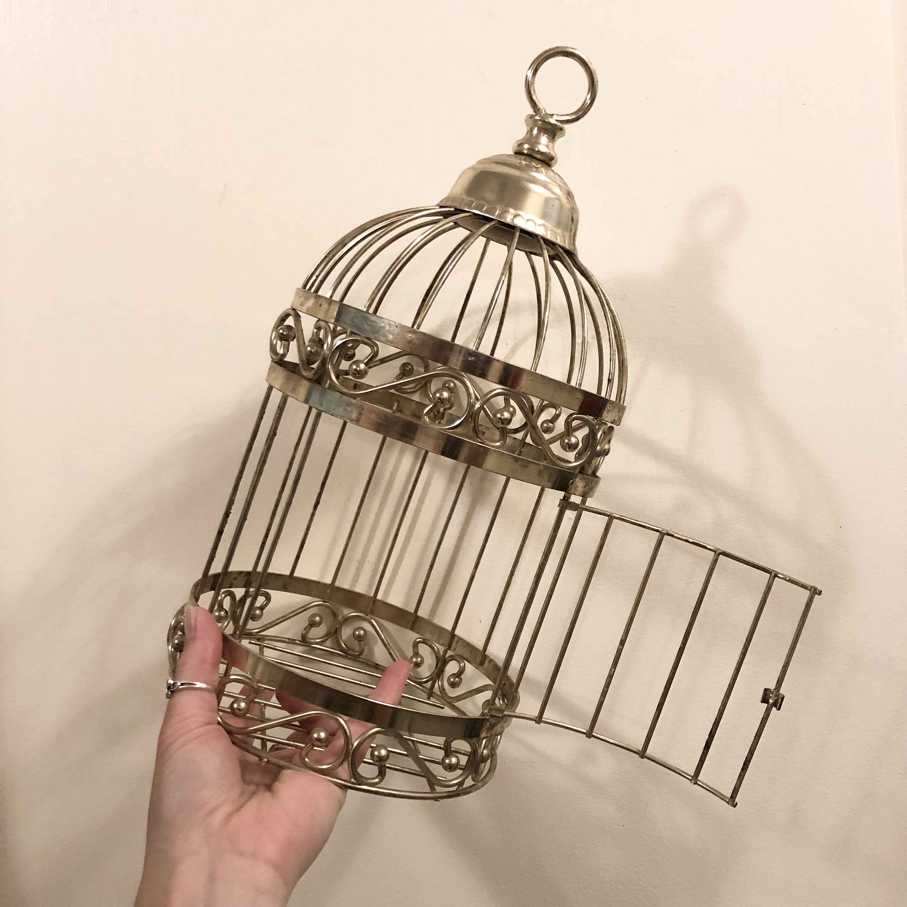 View of Antique Hanging Bird Cage