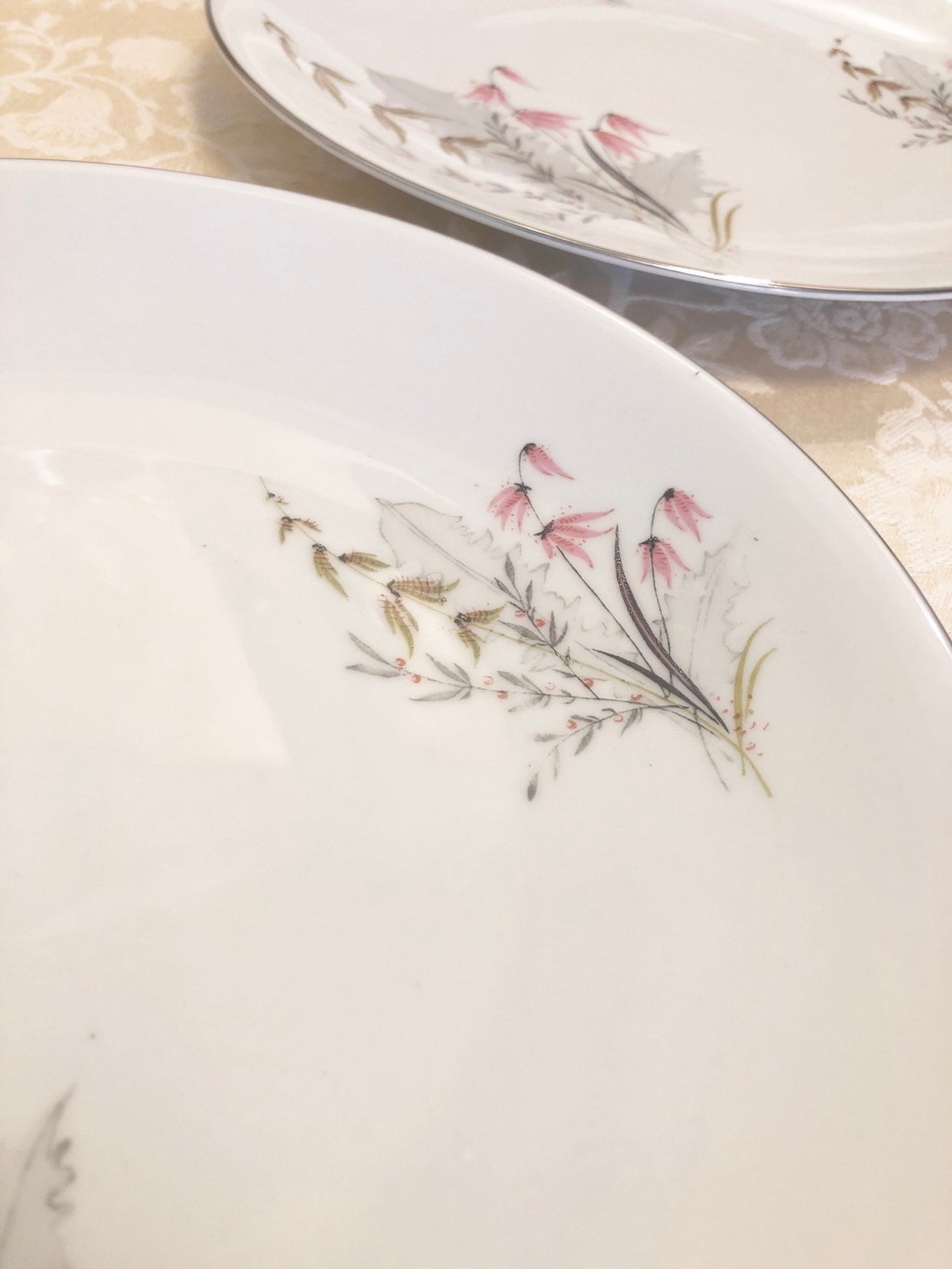 Royal Duchess Fine China Bavaria Germany Diner Plates Silver Etsy