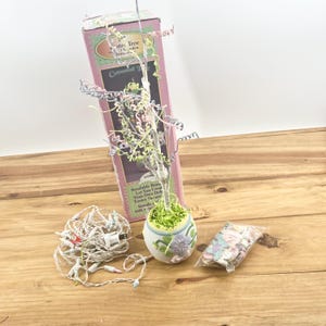 May include: An Easter tree kit with a pink box, a decorative tree, a string of lights, and a bag of decorations. The tree is in a white egg-shaped pot with floral accents. The box reads "Easter Tree".