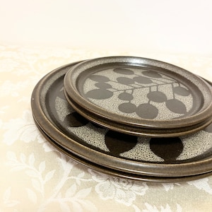 Natural Tone Mikasa Ultima Plus Dinner Set Dinner Plates Set Of 2 Lunch Plates Oven Safe Dishwasher Safe Japan Dinner Set