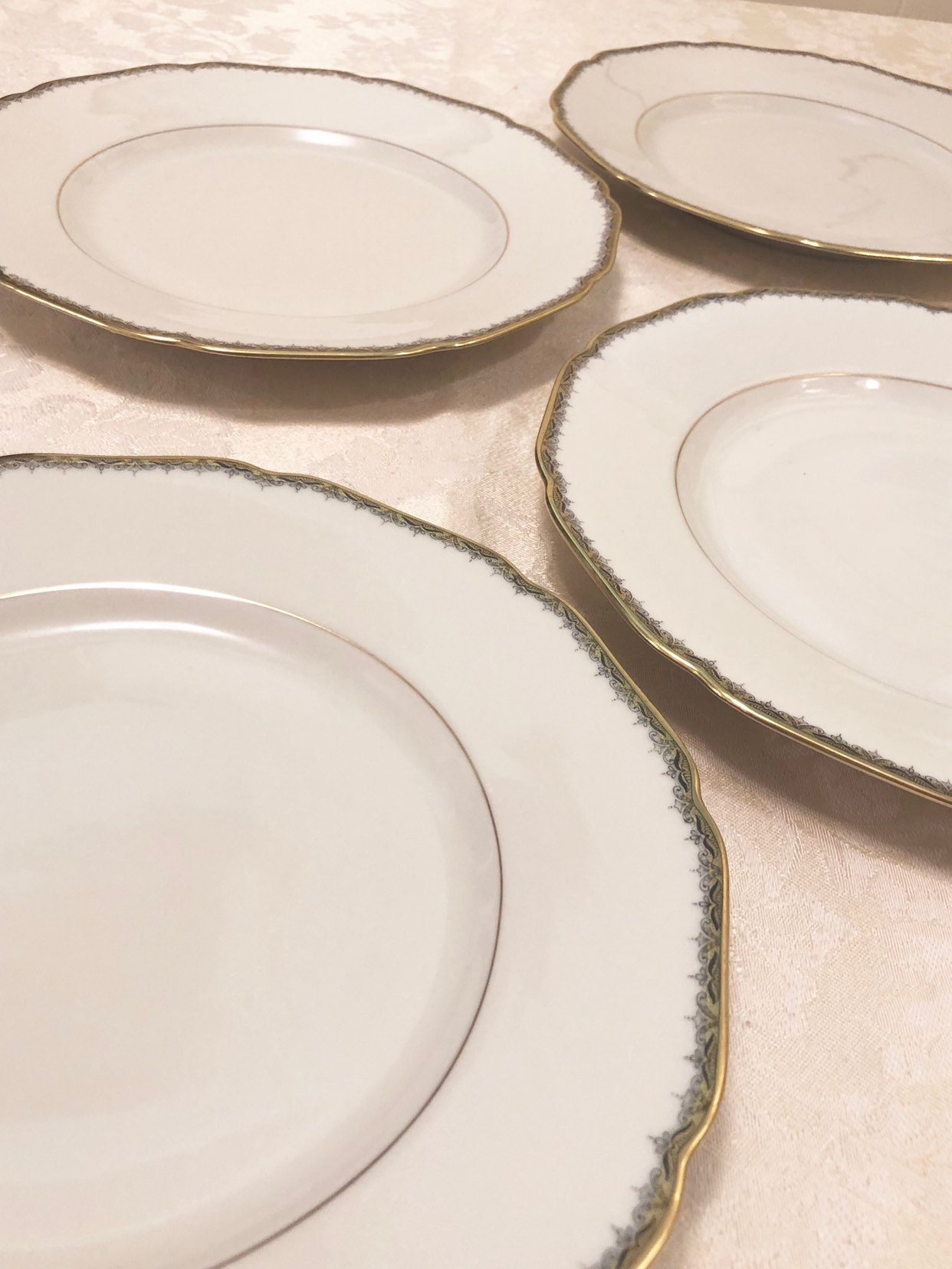 18 CM 14 Aelteste Hutschenreuther Hohenberg Germany Dinner Plates