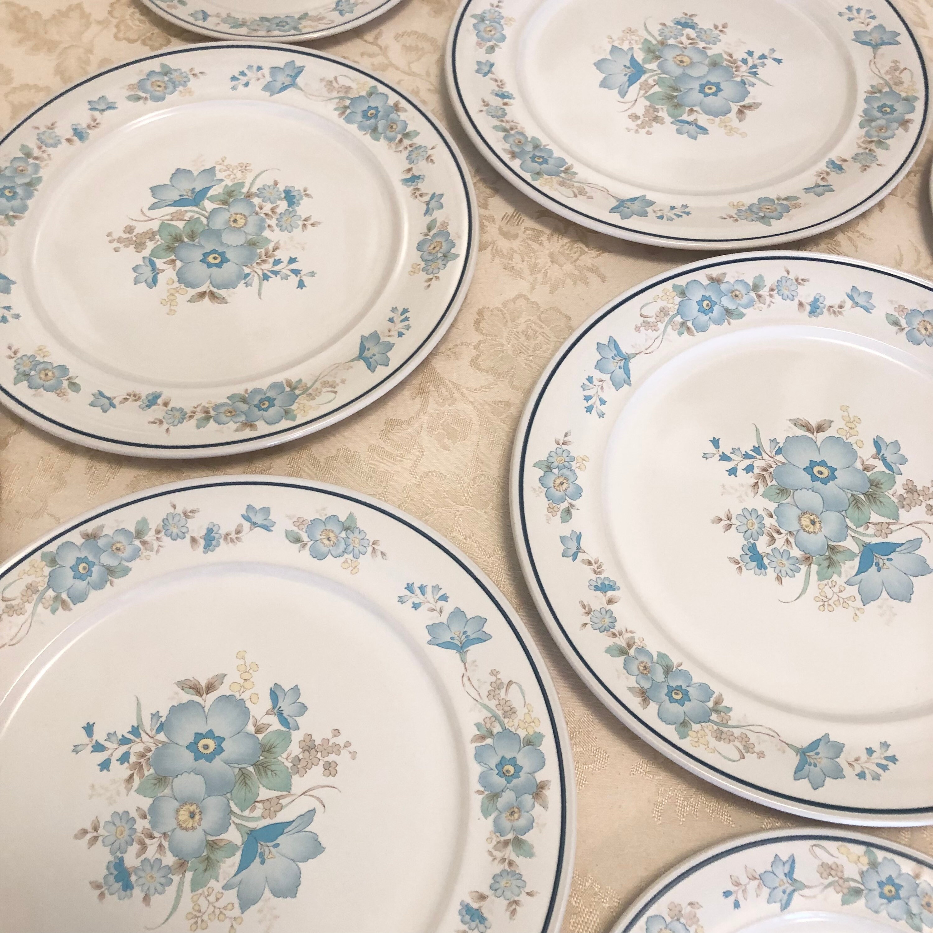 Carico Casual Collection Celeste 9554 Japan Dinner Plates Oven