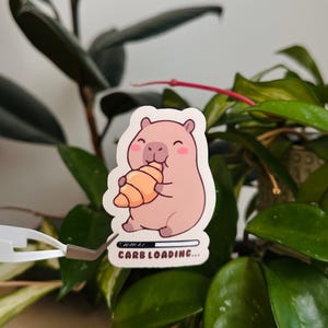May include: A sticker featuring a cartoon capybara holding a croissant. The capybara is pink with a happy expression. The sticker has the text "CARB LOADING..." at the bottom, with a loading bar graphic. The sticker is surrounded by green plants.