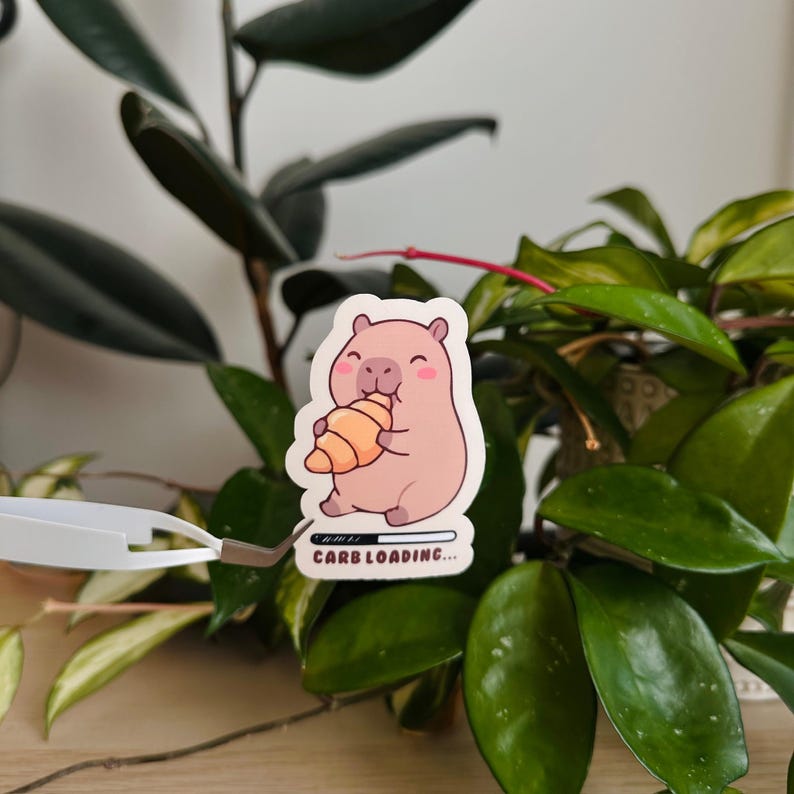 Cute Capybara Croissant 'carb Loading ' Glossy Sticker - Etsy