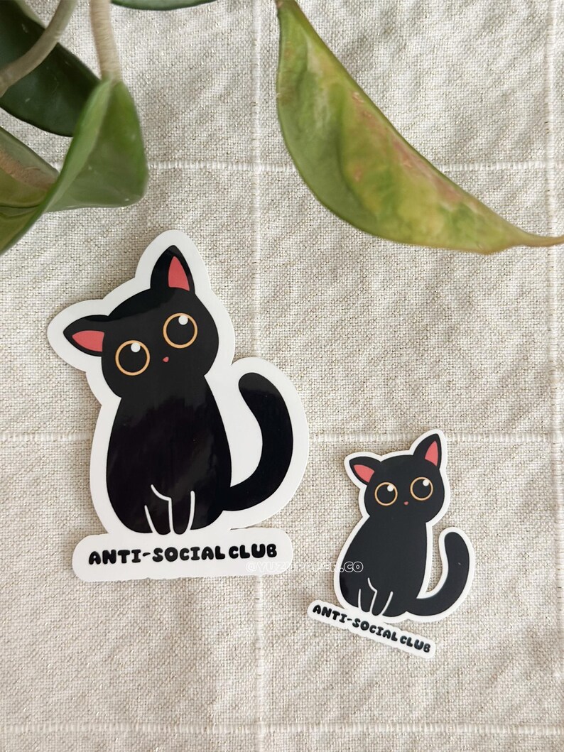 Puede incluir: Dos pegatinas de gato negro con el texto "ANTI-SOCIAL CLUB". Los gatos tienen orejas internas rosas y ojos grandes y redondos. Una pegatina es m&aacute;s grande que la otra. Las pegatinas est&aacute;n sobre una superficie texturizada de color neutro.